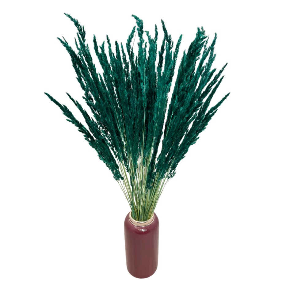 Suszona trawa leśna petrol - trawy ozdobne