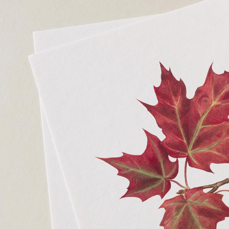 Plakat Jesienne liście #1 21x30cm