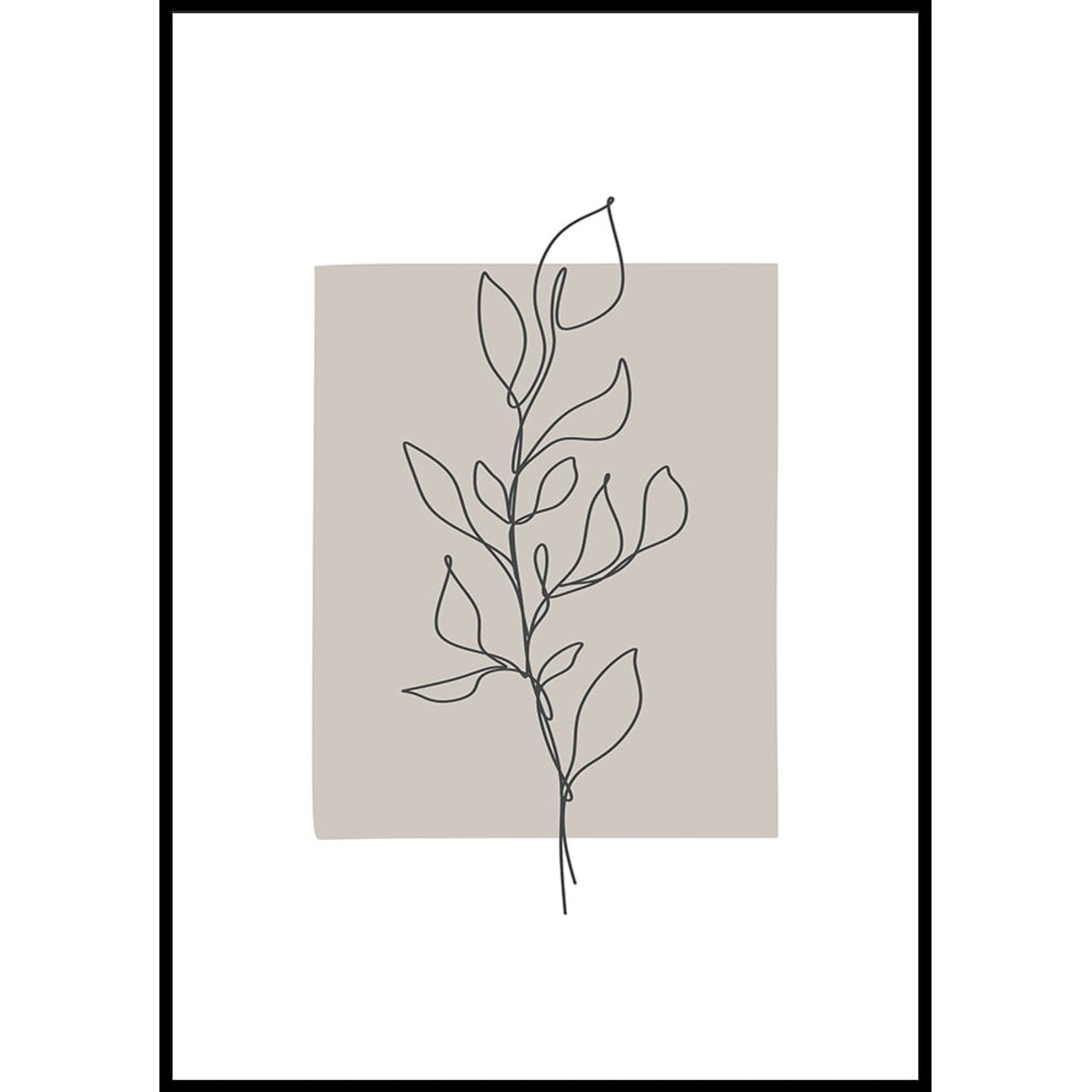 plakat botanical graphic 3 30x40 cm