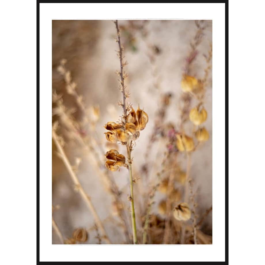 Poster Story, Plakat, Obraz - Przedwiośnie, wymiary 70 x 100 cm