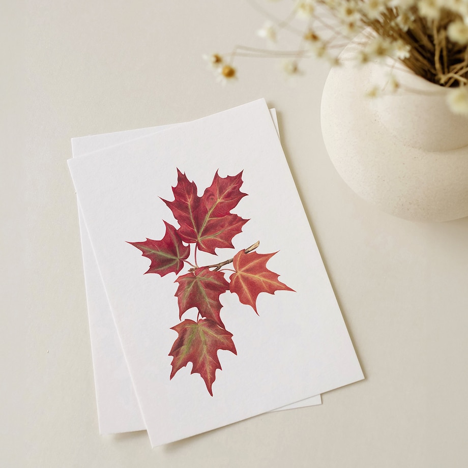 Plakat Jesienne liście #1 30x40cm