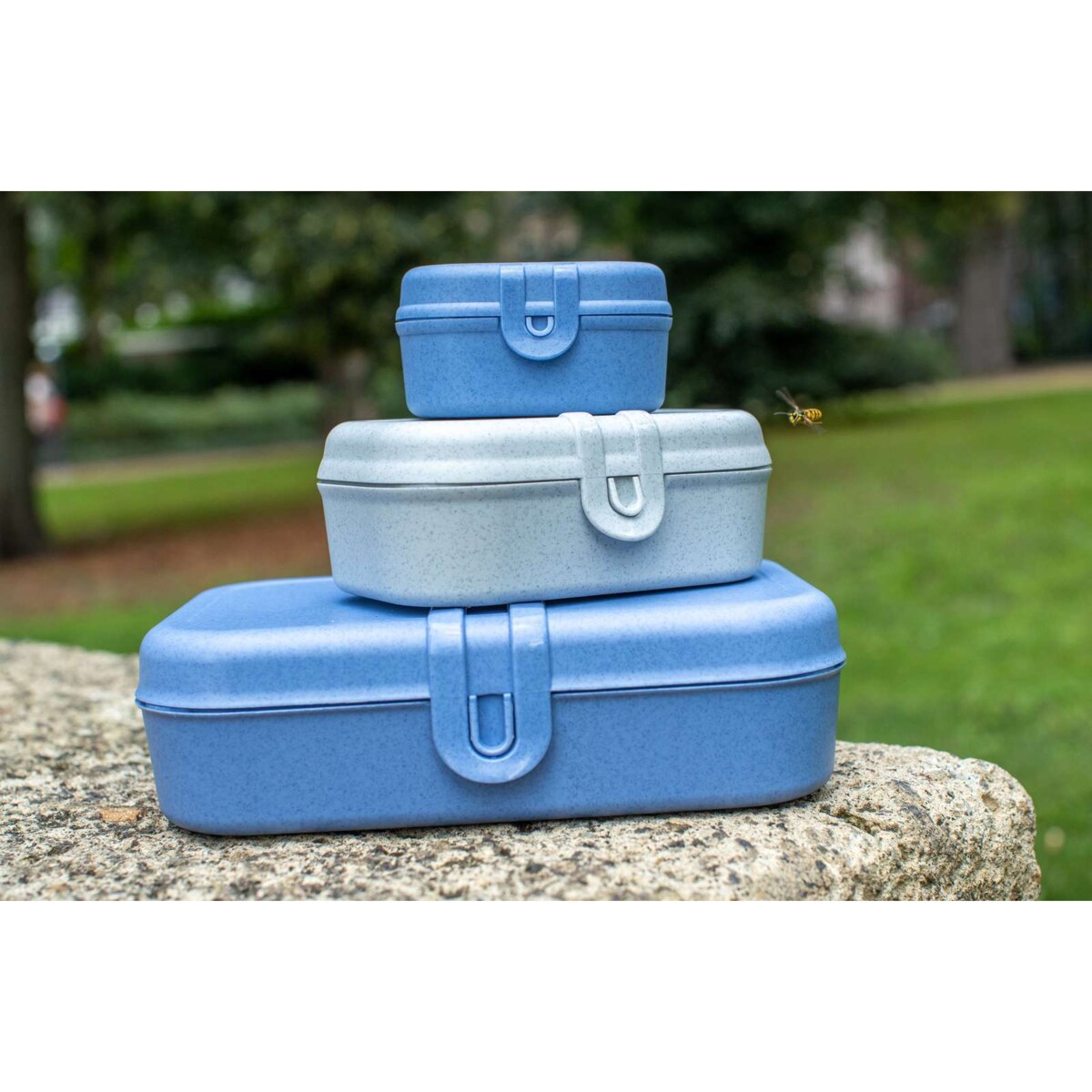 Lunchbox z przegródkami PASCAL L, KOZIOL