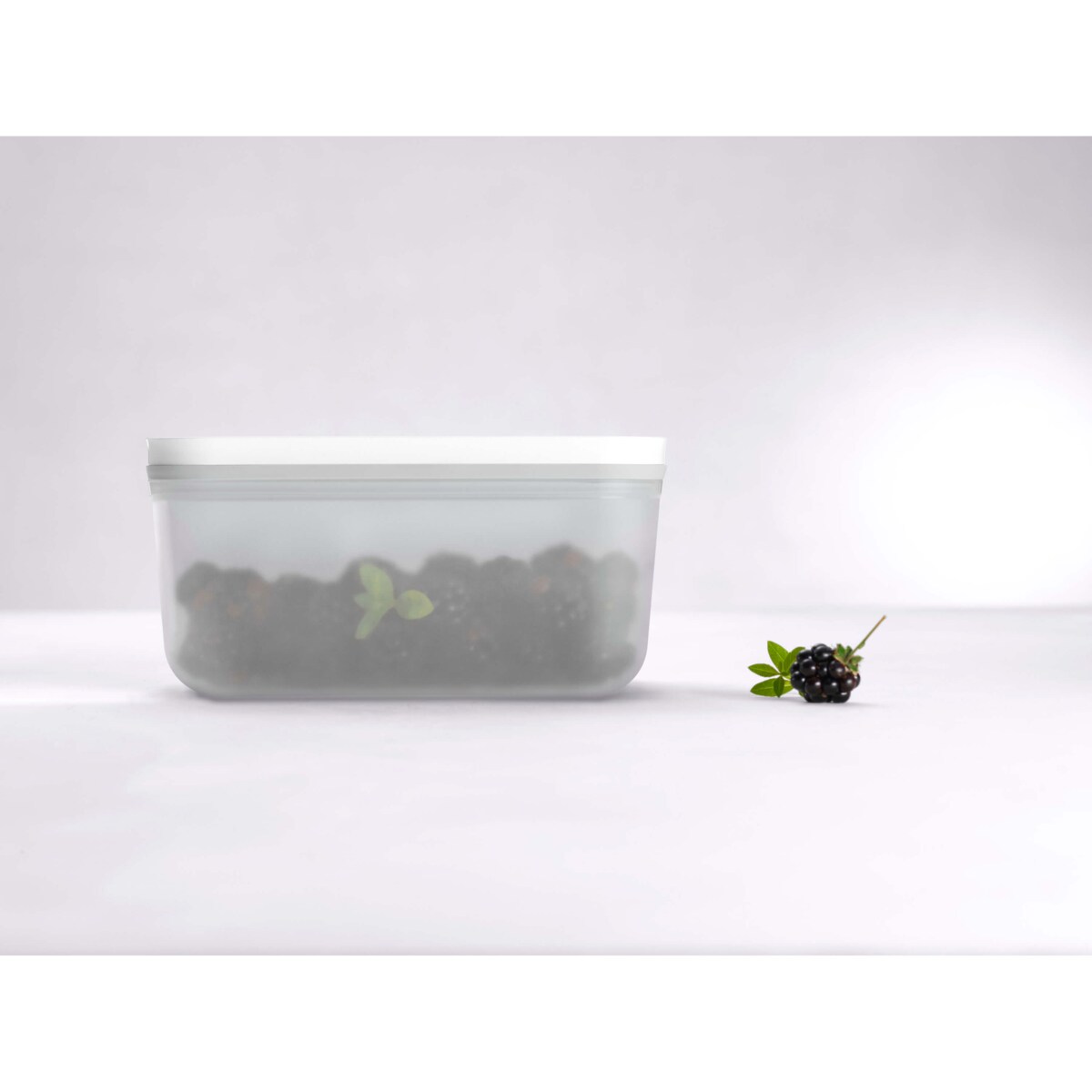 Plastikowy pojemnik Zwilling Fresh & Save - 1.1 ltr, Szary