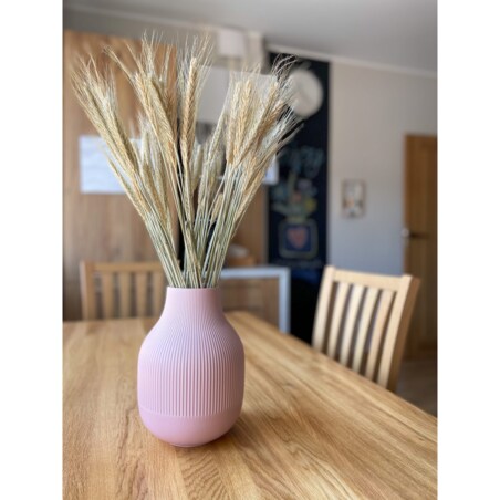 Suszone Pszenżyto Naturalne