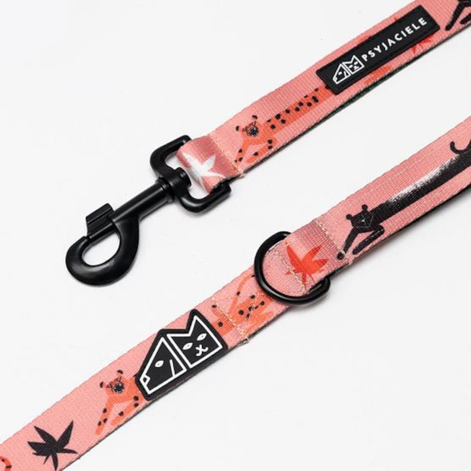 Smycz miejska dla psa lub kota "Pantera przyszedł do jungli?"