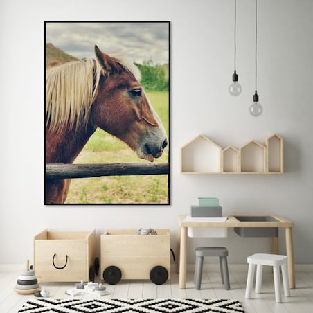 Poster Story, Plakat, Obraz - Brązowy Koń na Polu, wymiary 30 x 42 cm