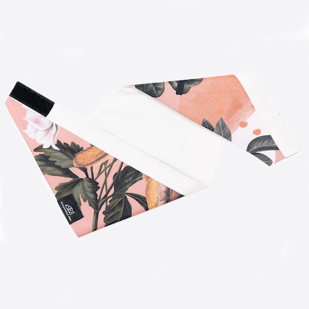 Bandanka "Wie wiórka co dobre" - Rozmiar: S, Rodzaj: Zapinana na szyi