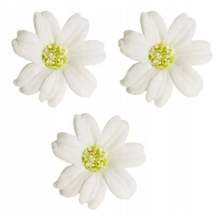 STOKROTKA BIAŁA 3x kwiaty mydlane do bukietów dekoracji boxy flower 4cm