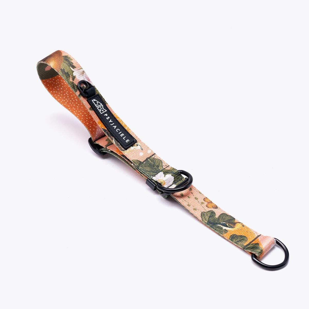 Obroża półzaciskowa dla psa lub kota "Wie wiórka co dobre" - Szerokość taśmy: 38mm, Rozmiar: XL