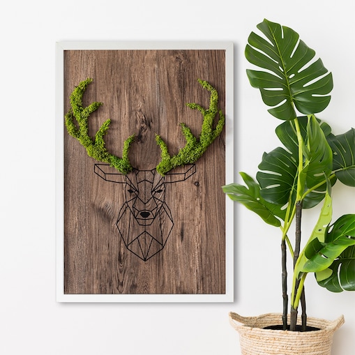 Obraz Głowa jelenia na drewnianym tle - mech chrobotek w białej ramie 40x60cm