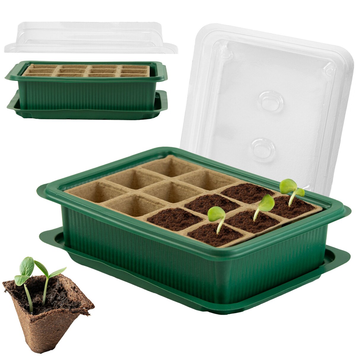 Miniszklarenka Mini Szklarnia Tacka Do Wysiewu Zestaw Do Sadzenia Roślin Rozsad
