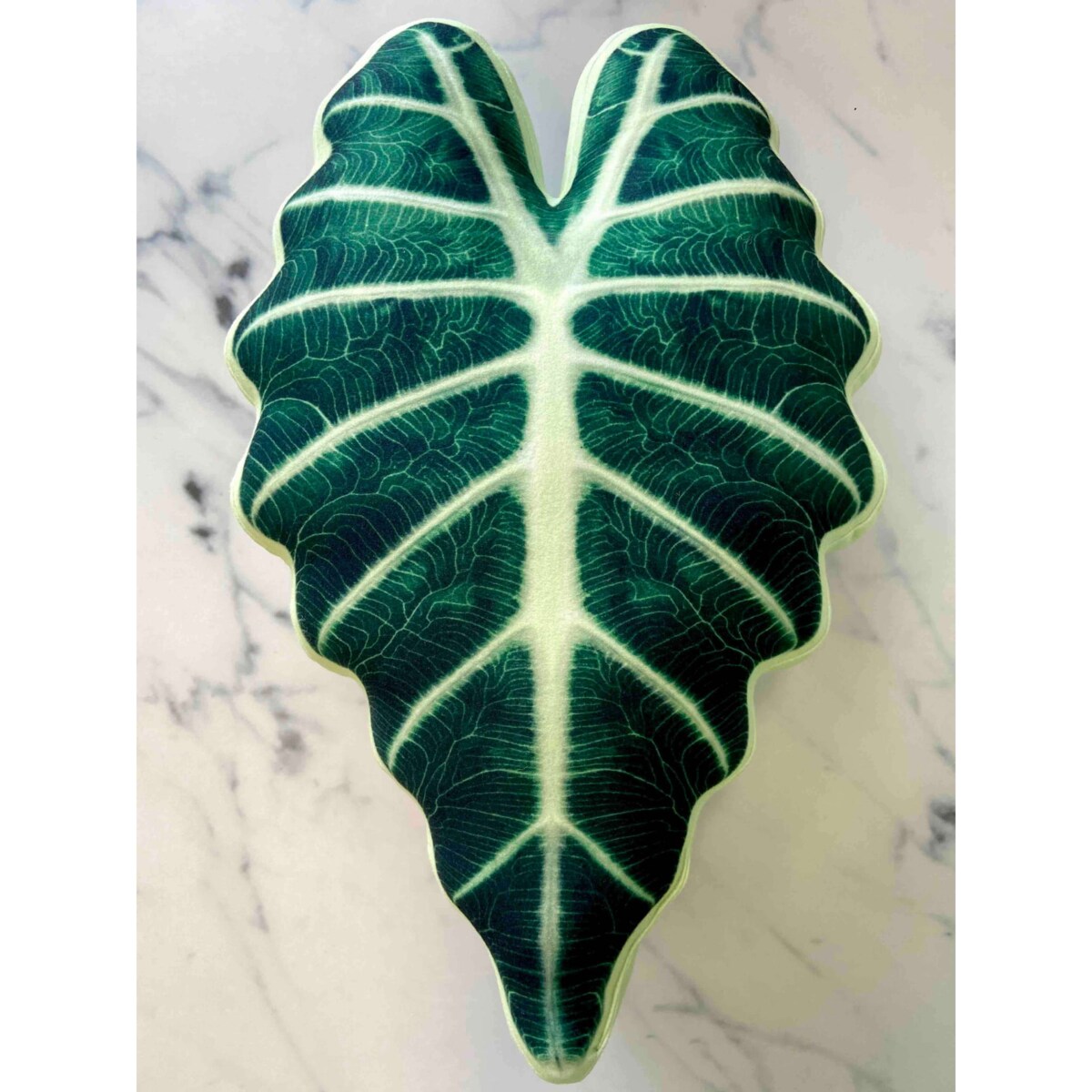 Poduszka Liść Alokazja Polly