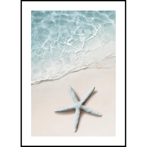 Poster Story, Plakat, Obraz - Rozgwiazda, wymiary 50 x 70 cm