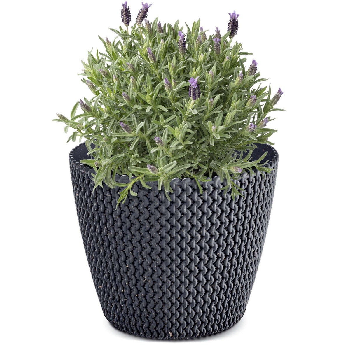 Doniczka Osłonka Domowa 25,9 Cm Na Stół Parapet Do Domu Antracytowa