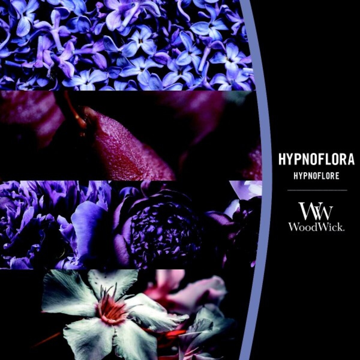 WoodWick świeca Elipsa HYPNOFLORA