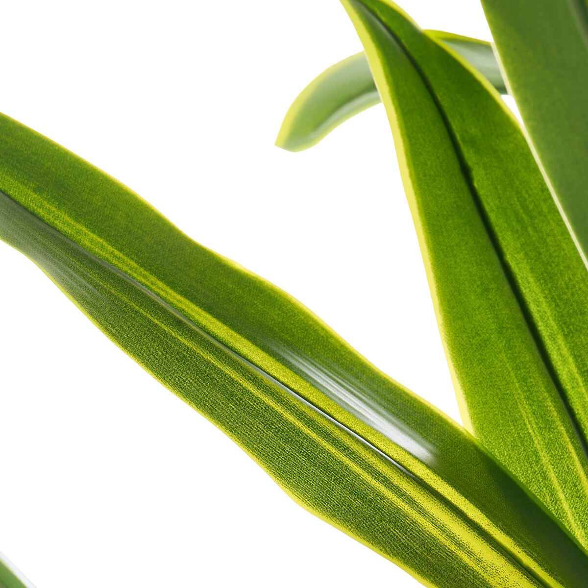 Sztuczna roślina DRACAENA TREE 150 cm Zielony