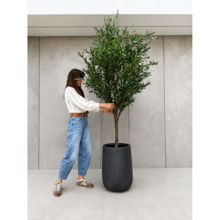 Sztuczne drzewko oliwne 240 cm Monnarita
