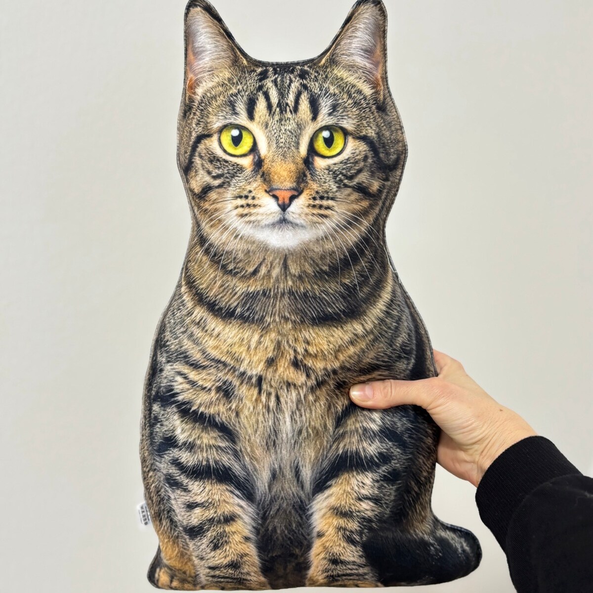 Poduszka Kot domowy pręgowany dachowiec tabby