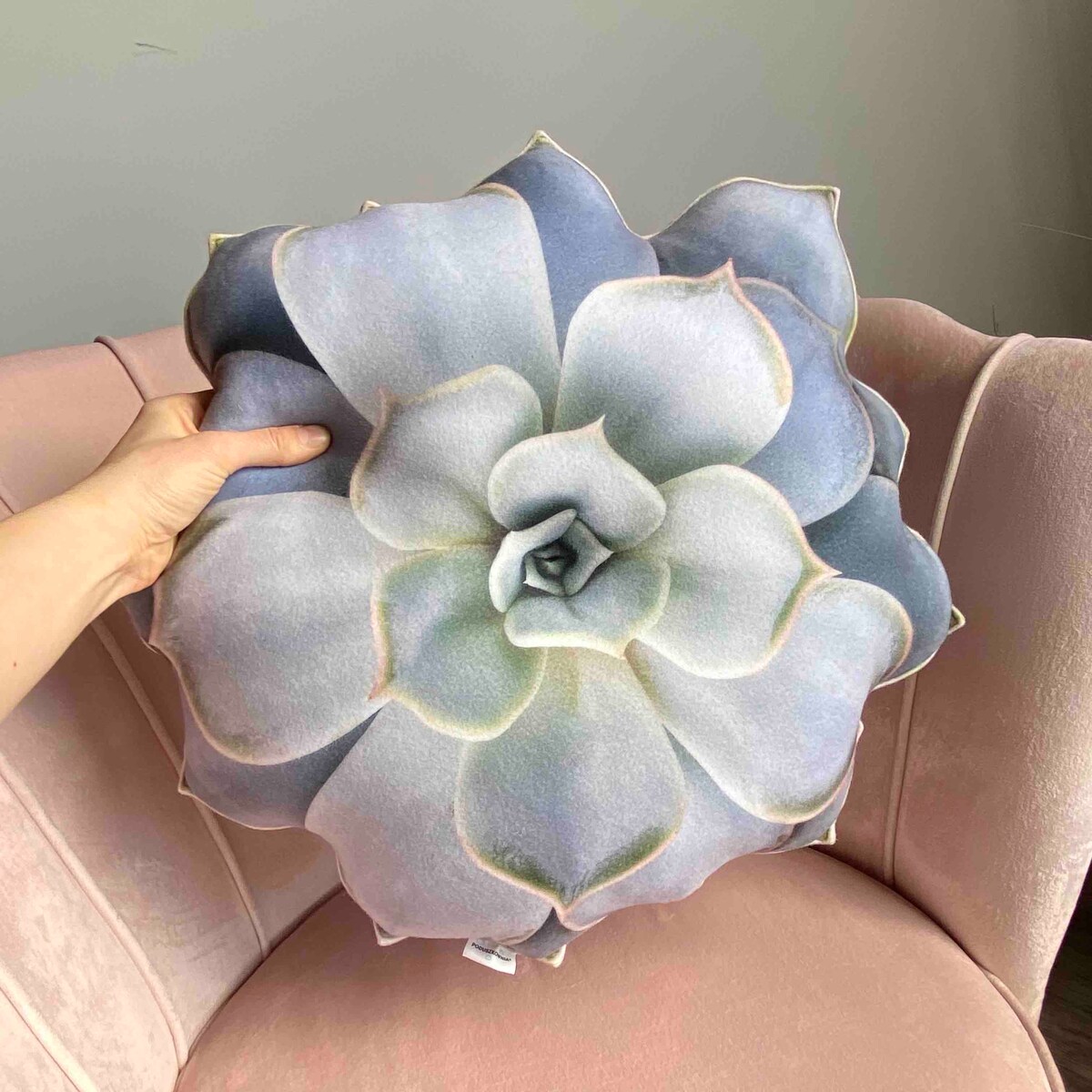 Poduszka duża Sukulent Echeveria Eszeweria