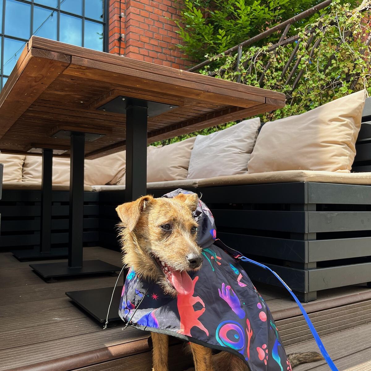 Płaszcz przeciwdeszczowy dla psa Psychodelia - Rozmiar: L