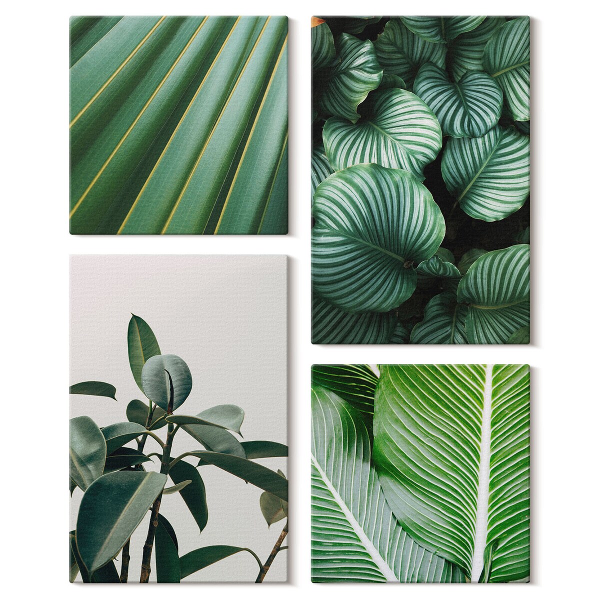 Zestaw 4 obrazów na płótnie - Liście tropikalne w zieleni - zielony