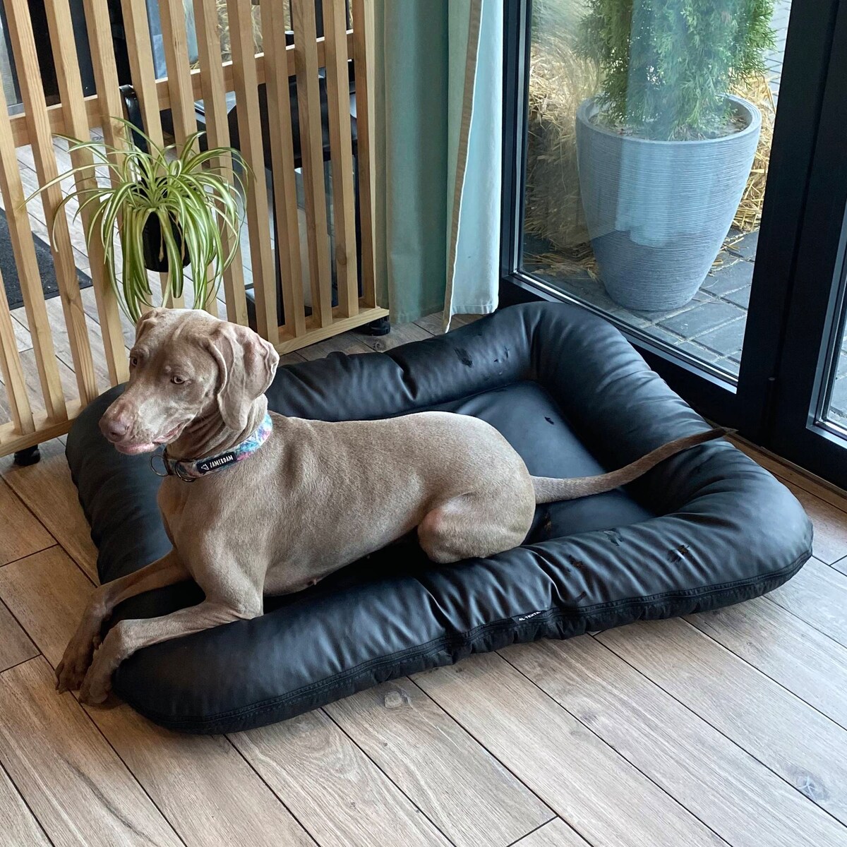 Legowisko Ponton dla psa z eko skóry ELLA, 90x70 cm, Czarny