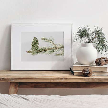 Plakat Gałązka Sosny z Szyszką 21x30cm