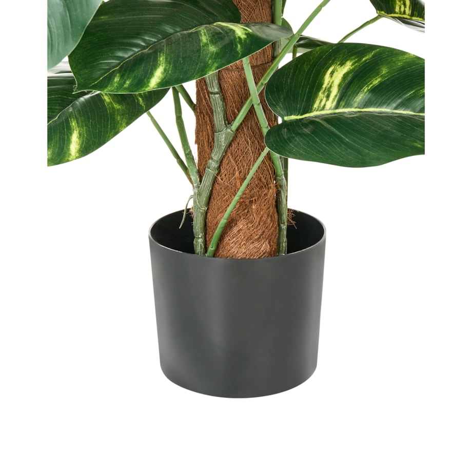 Sztuczna roślina DIEFFENBACHIA 152 cm Zielony