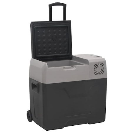 vidaXL Lodówka na kółkach, z zasilaczem, czarno-szara, 40 L, PP