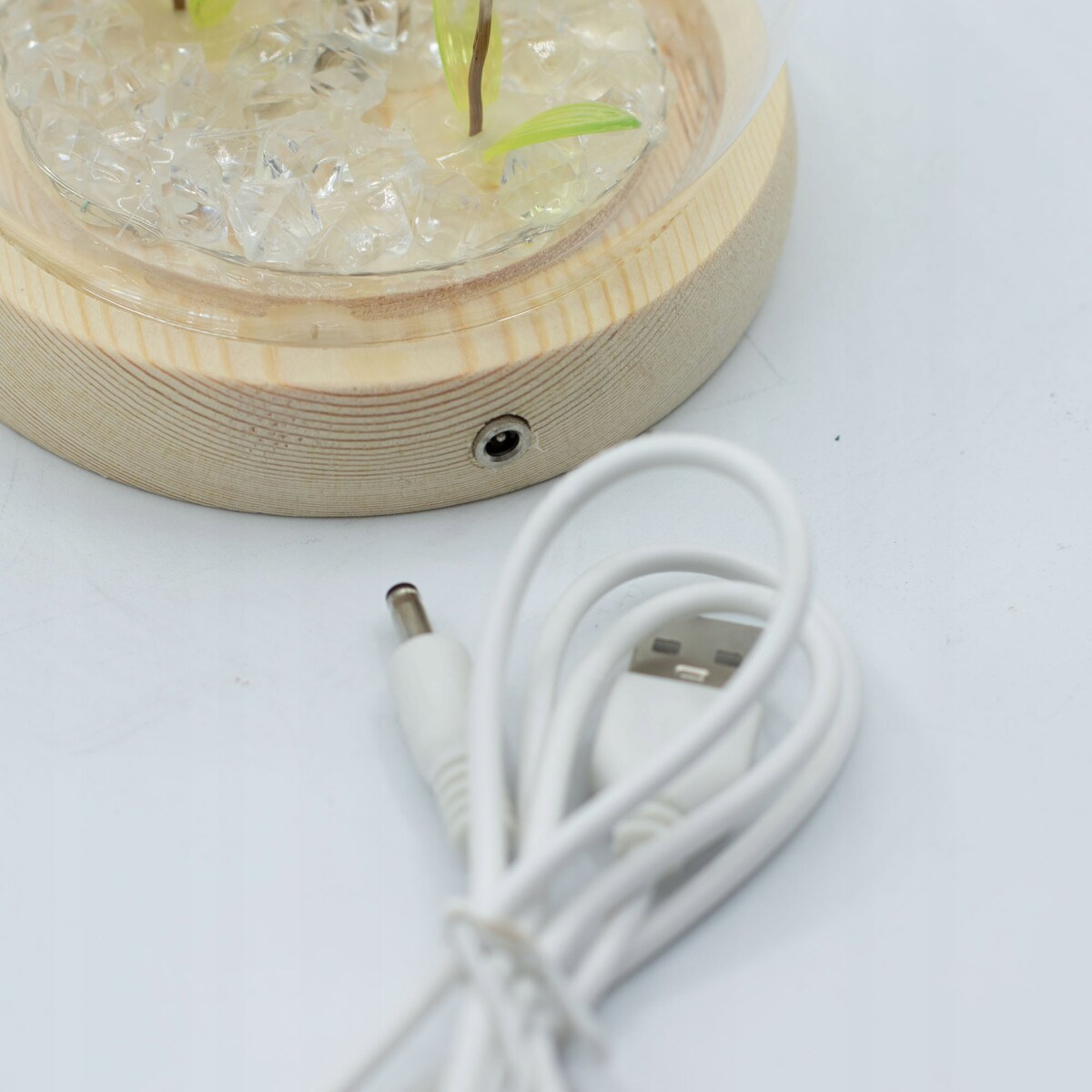 Świetlisty Ogród LED DMUCHAWCE pod Szklaną Kopułą Lampka NOCNA PREZENT usb