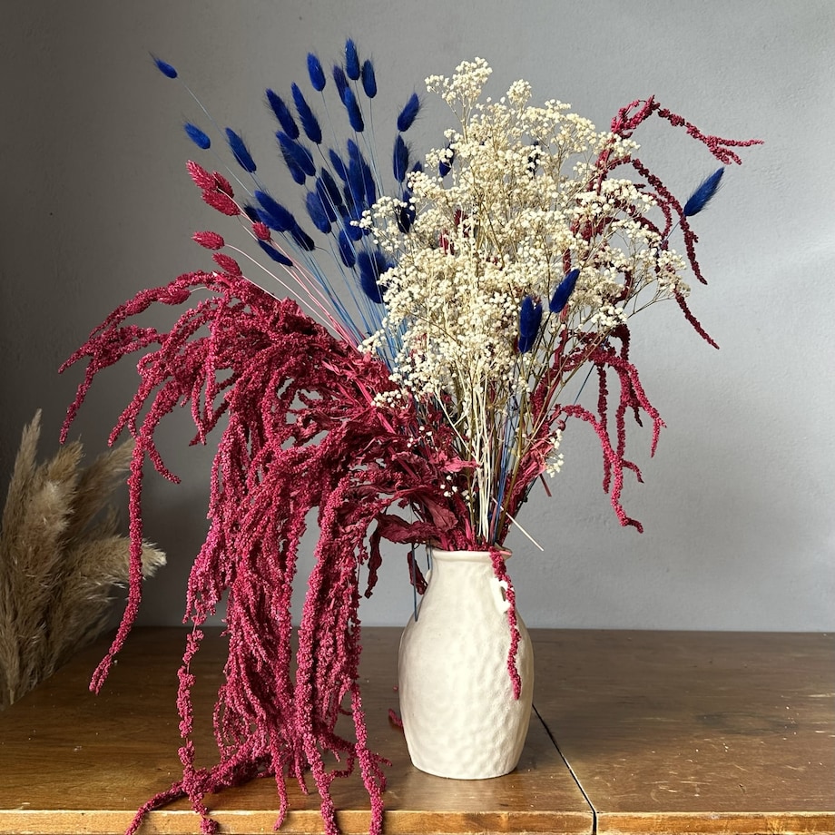 Amarantus Stabilizowany Bordowy