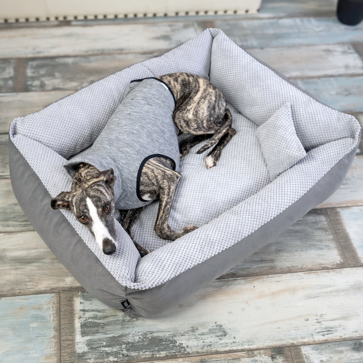 Przytulne legowisko dla psa TEO, 60x40 cm, Szary