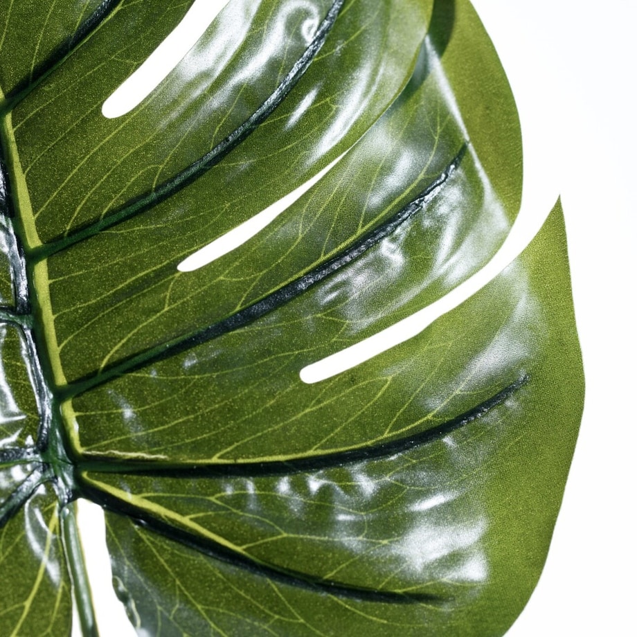 Liść Monstery szer. 23cm, 23 x 0,5 x 55 cm