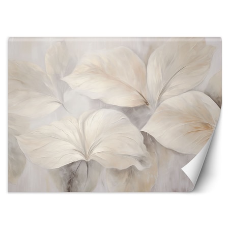 Fototapeta, Liście rośliny natura beżowa boho 3d 400x280