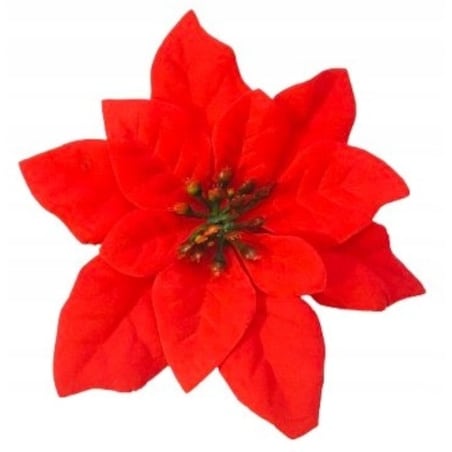 6x GWIAZDA betlejemska czerwona do dekoracji choinki schody stół bukiet