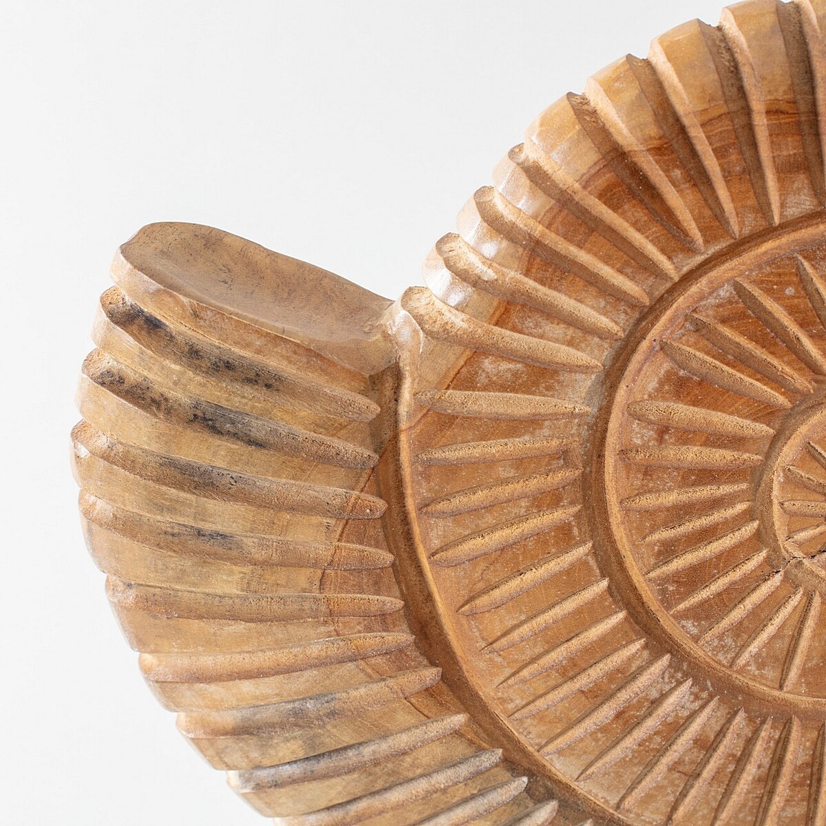 Dekoracja Fossil 45 cm, 34x10x45 cm