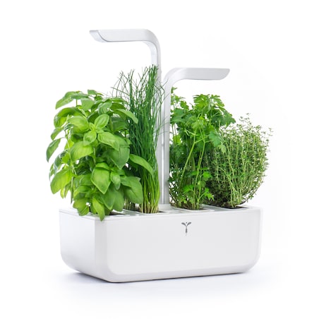 Doniczka Véritable Classic