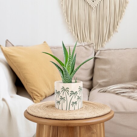 DONICZKA BEŻOWA PALMY CERAMICZNA 14cm osłonka do salonu domu palma na taras