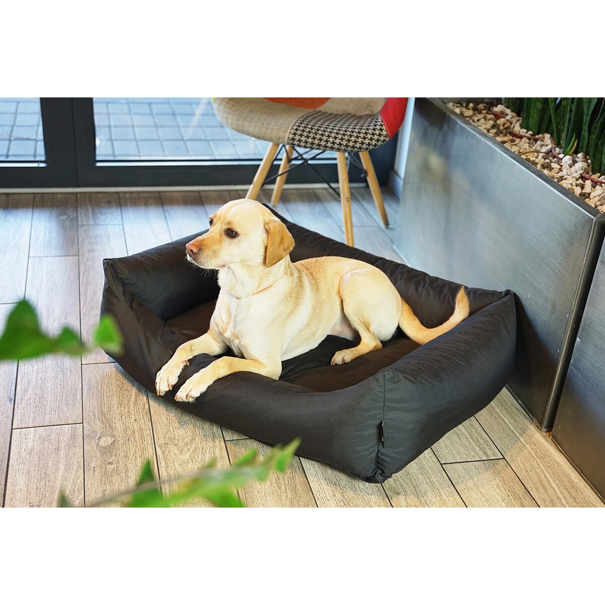 Wodoodporne legowisko dla psa KOKO, 80x60 cm, Czarny