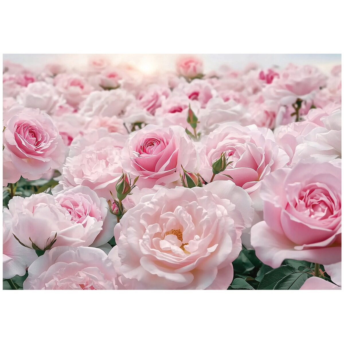 Fototapeta Do Sypialni Salonu Na Flizelinie Kwiaty Natura Różowy 400x280