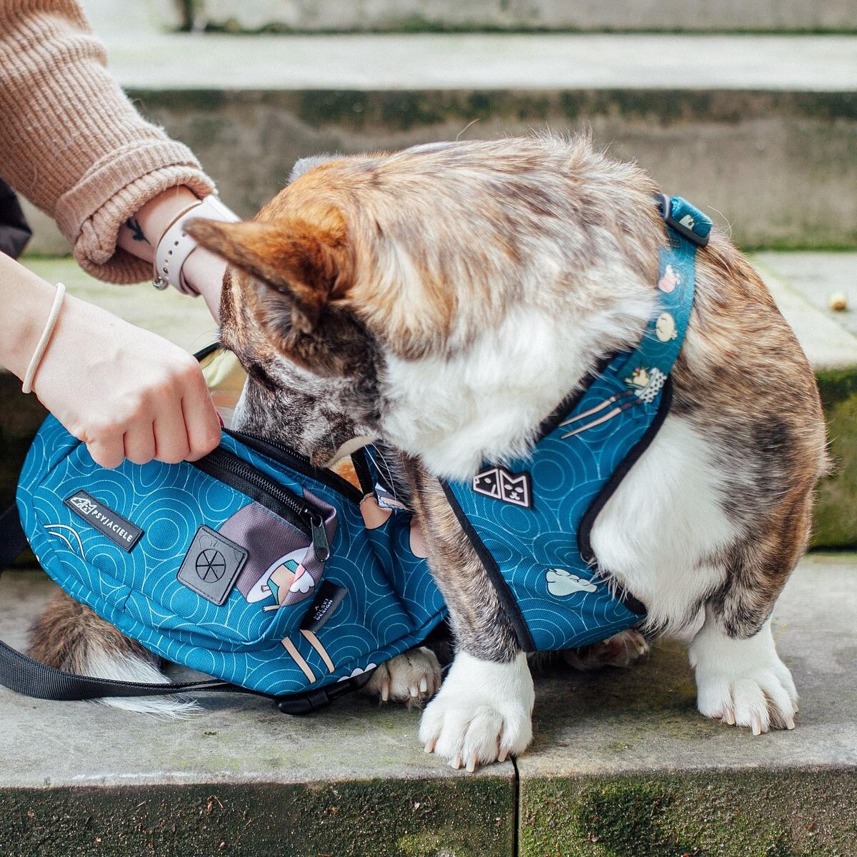 Nerka spacerowa "Psutomaki"