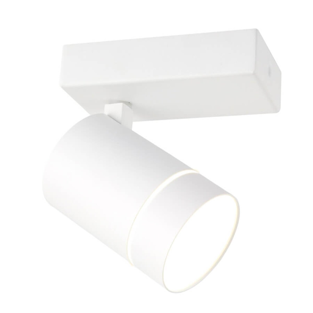 Regulowany spot sufitowy Selma LED 5W do przedpokoju biała