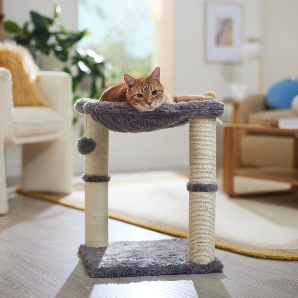 DRAPAK DLA KOTÓW SZARY 331667