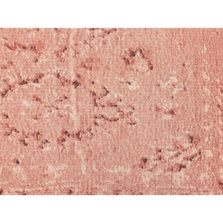 Poduszka podłogowa bawełniana 50 x 50 x 20 cm jasnoczerwona SHASA