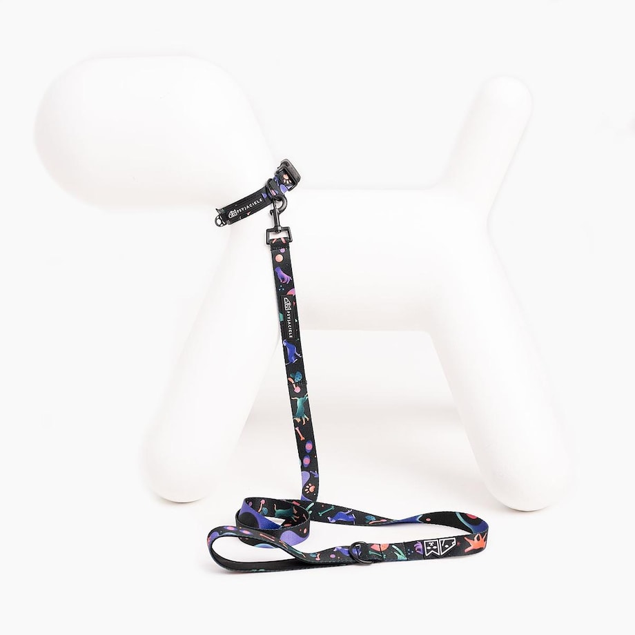 Obroża dla psa lub kota "Psychodelia" - Szerokość taśmy: 15mm, Rozmiar: XXS