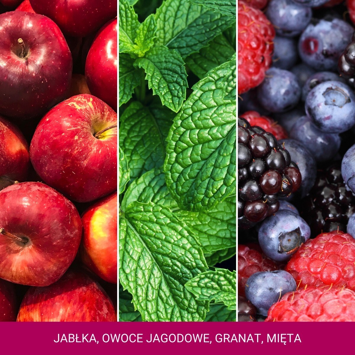 YC SIGNATURE - Świeca duża SPARKLING WINTERBERRY