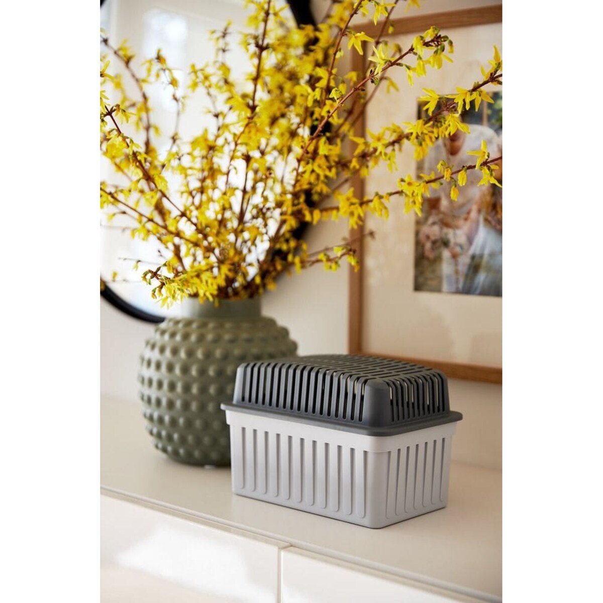 Pochłaniacz wilgoci 1 kg