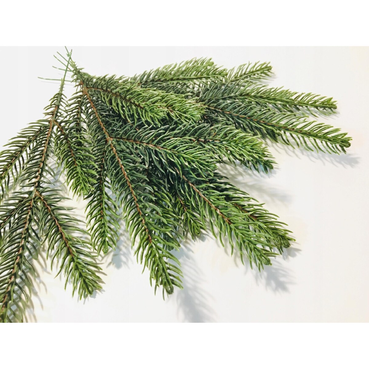 SZTUCZNA GAŁĄZKA sosna świerk choinka dekoracja PIK 6szt na bukiet stroik