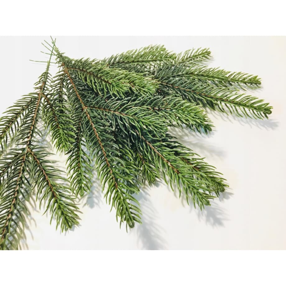 SZTUCZNA GAŁĄZKA sosna świerk choinka dekoracja PIK 6szt na bukiet stroik