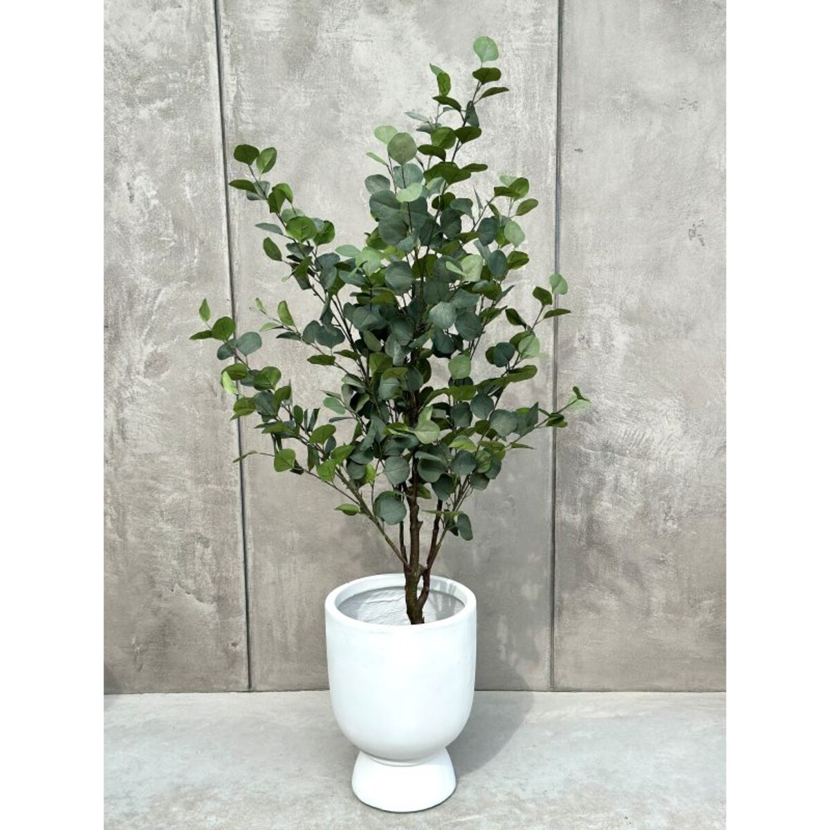 DRZEWKO EUKALIPTUSOWE 150 cm